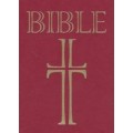 Bible - ekumenický překlad (1118)