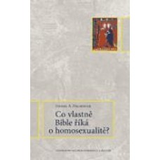 Co vlastně Bible říká o homosexualitě?