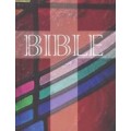 Bible - ekumenický překlad (1120)
