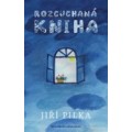 Rozcuchaná kniha