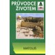 Průvodce životem - Matouš