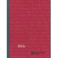 Bible - ekumenický překlad (1158)