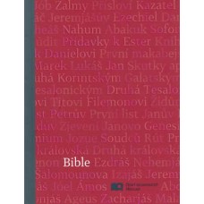 Bible - ekumenický překlad (1158)