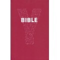 Bible Y