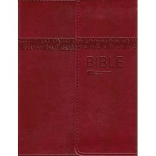 Bible - ekumenický překlad (1115)