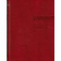 Bible - ekumenický překlad (1170)
