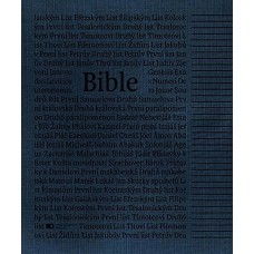 Poznámková Bible - ekumenický překlad s DT (1254)