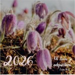 Kalendáře, diáře